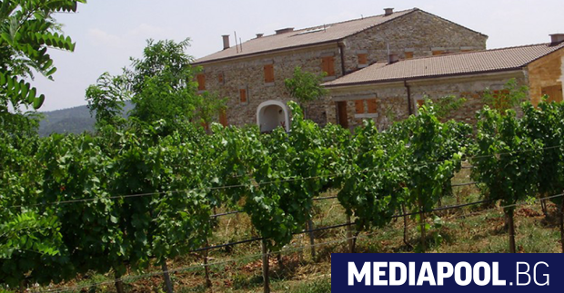 Биодинамичната ферма Поляна е основана през 2009 г от Мартин