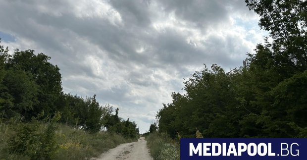 Четвърти ден продължава издирването на опасния хищник край Шумен  