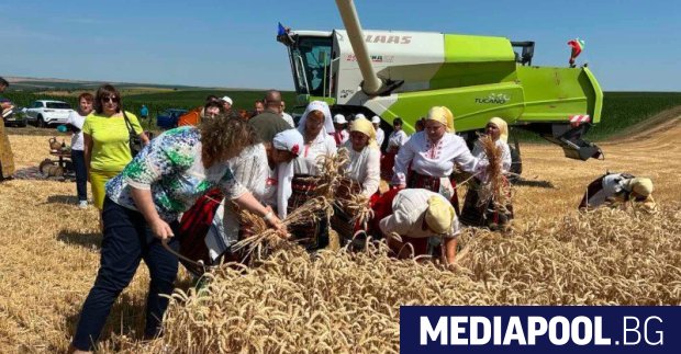 Предишна Следваща Никой не е по голям от хляба Това заяви
