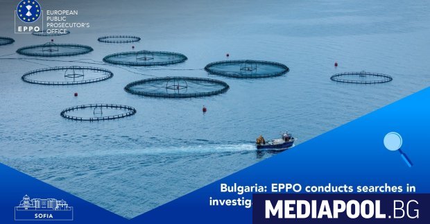 Прокуратурата на Кьовеши инициира обиски в домовете и офисите на