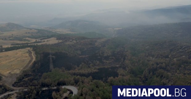 Големите пожари от посследните седмици само в Пирин унищожиха 45