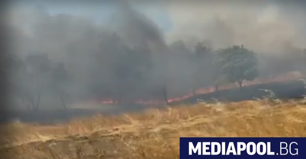 Голям пожар е избухнал във вилна зона на бургаската община