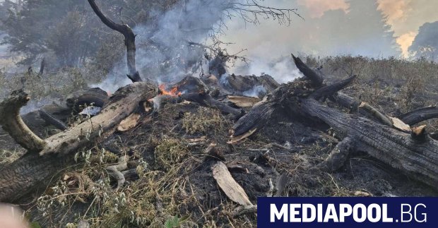 Бързо се разраства пожарът в Национален парк Рила над село