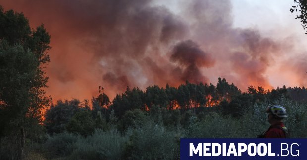   Малко преди края на лятото горските пожари в Европа