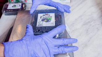 Семейната ферма, която наложи пресните малини на българския пазар