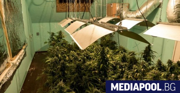 Единият от синовете на заместник апелативния прокурор на Бургас Валентина Маджарова