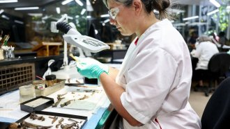 Обсъждат се данъчни облекчения за научна и развойна дейност от догодина