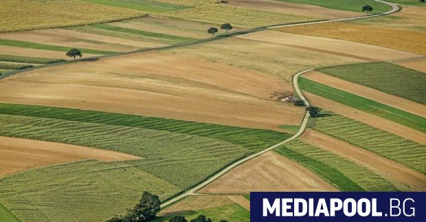 Ново напрежение в сектор земеделие Този път сблъсъкът е между