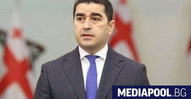 Председателят на грузинския парламент Шалва Папуашвили заяви днес че управляващата