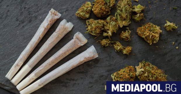 Синът на евродепутата Радан Кънев 17 годишният Борис Кънев е