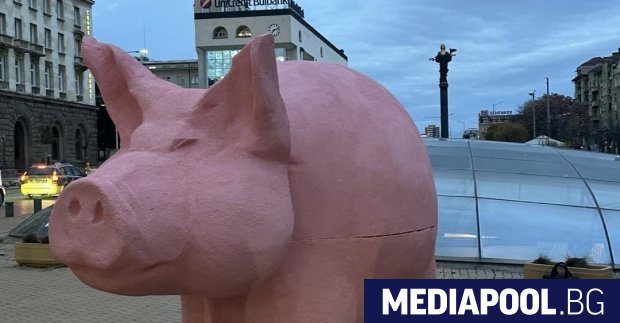 Млади активисти на Продължаваме промяната поставиха арт инсталация Прасе касичка в