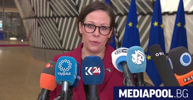 Шведският външен министър Мария Малмер Стенергард говорейки на заседание на