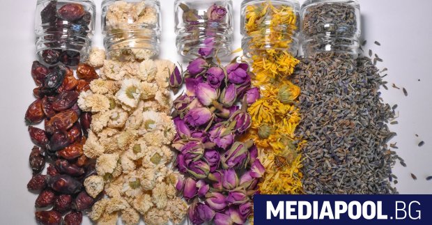 Историята на семейната Алтея Органикс започва през 1999 г когато