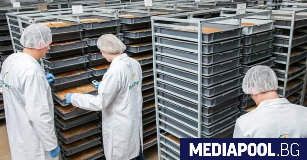 Кампания Frass to Future Фрас за бъдещето започва с цел