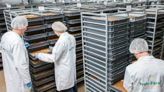 Започват опити за обогатяване на почви с "тор" от насекоми