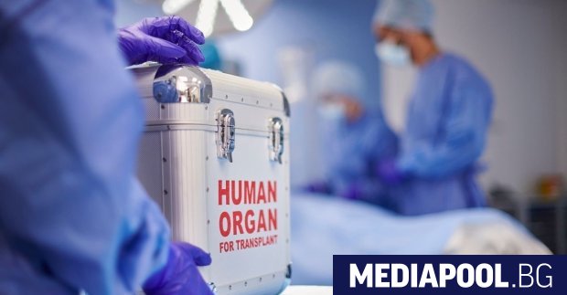 Двама души получиха шанс за нов живот след като близките