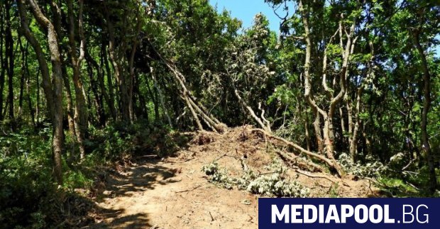 Злоупотреба за 500 000 евро по проекти за развитие на