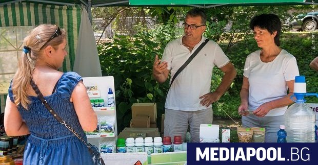 Зеолитът е природен минерал с микропореста структура известен със способността