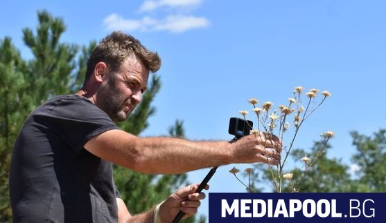 На пръв поглед Centaurea appendicata Klokov рядко растение ендемит за