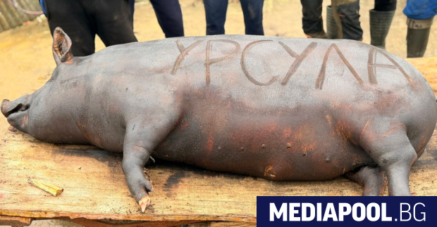 От шопската салата до лангоша от айвара до гъшия дроб