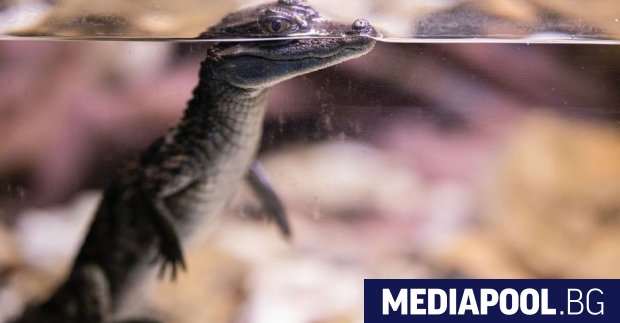 Правоприлагащи агенции от 134 страни иззеха рекордни количества незаконно продадени