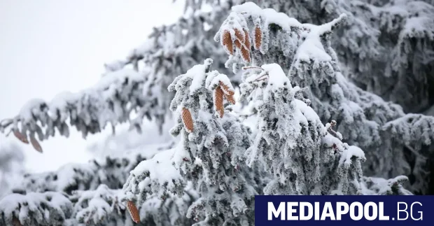 Астрономическата зима в България ще започне в 17 03 часа