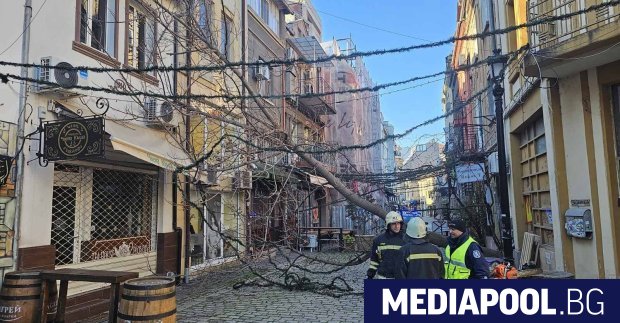 Множество сигнали за паднали дървета клони ламарини и материални щети