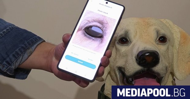 В продължение на десетилетия роботът иконом беше основен елемент от