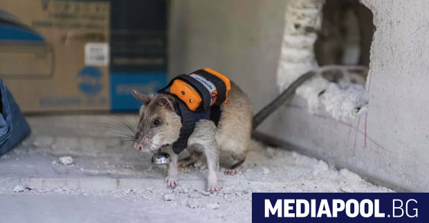 Южната турска община Муратпаша окръг Анталия представи иновативен научен проект