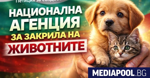 Създаване на Национална агенция за закрила на животните която да