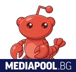 В края на януари бе пусната социалната мрежа предназначена изключително