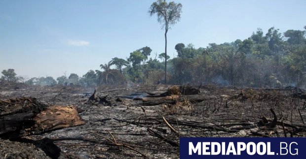 Ново проучване публикувано в списание Nature и цитирано от БГНЕС
