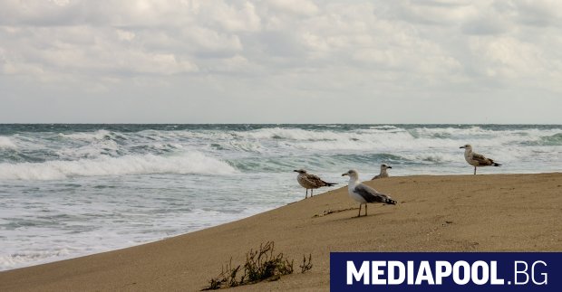 Спасителна операция по издирването на риболовен кораб се провежда в