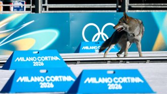 Вълк пресече трети финалната линия в отборното ски бягане за жени