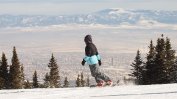 Алберт Попов: Няма такъв погром. Витоша е паметник