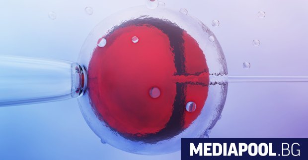 И жени с репродуктивни проблеми, които нямат партньор, вече могат