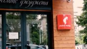 Колко още компромати крият Джуджетата?