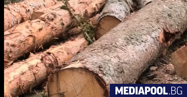 Земеделският министър Иван Христанов показа на видео във фейсбук пораженията