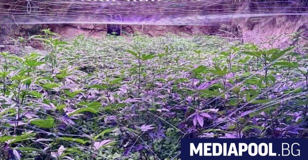 Една от изоставените мини в Осогово край Кюстендил недалеч от