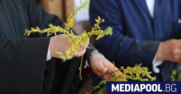 Православният свят отбелязва днес Цветница Над 330 000 българи празнуват