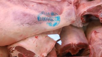 800 заклани агнета, предвидени за унищожаване, са изчезнали в Свищов