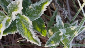 Жълт код за студ и слани в Североизточна България