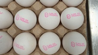 България върна близо 1.3 милиона яйца в Турция