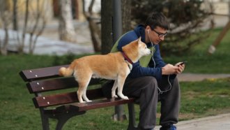 Ден за размисъл и без агитация преди вота в неделя