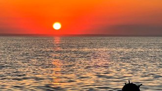 Според Пентагона разминирането на Ормузкия проток може да отнеме до 6 месеца