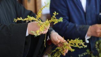 Цветница е, над 330 000 българи празнуват имен ден