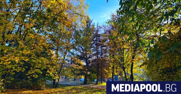 Жители на столичния район Красно село излизат на протест срещу