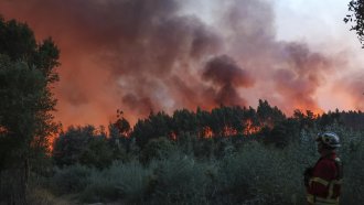 Голям горски пожар се разрази в радиоактивната зона на Чернобил след падането на дрон