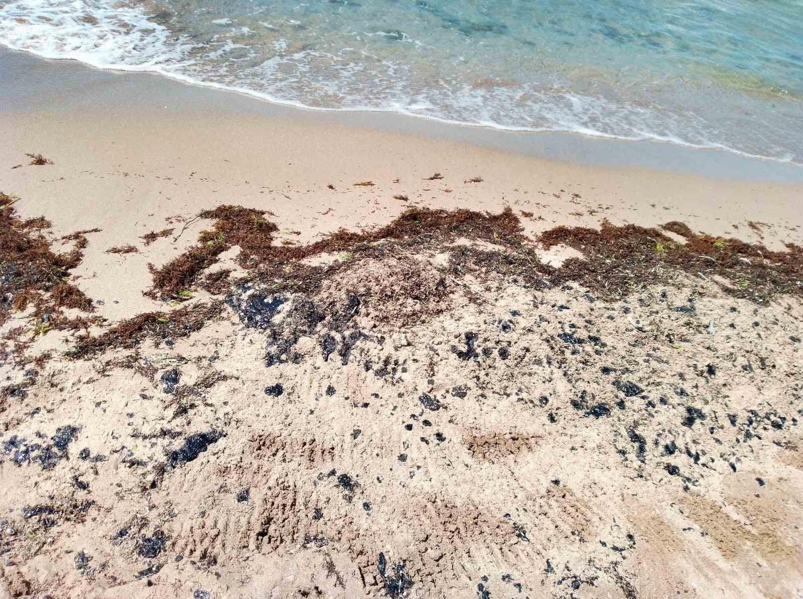 Мазутът по морето бил от старо замърсяване, но не може да се каже кой е виновен