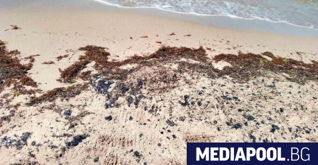 Мазутното замърсяване което се забелязва на десетки места по морето